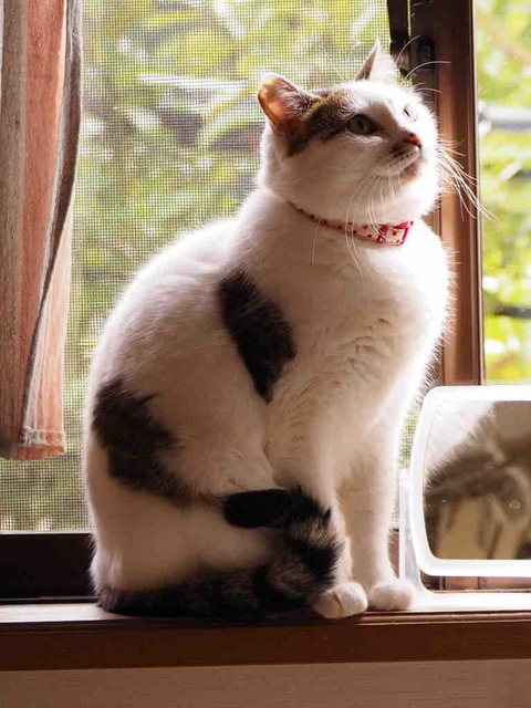 71E3A51D-4A5E-4F68-81AF-839EB8C5E8B3