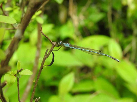 D216000C-4B90-4A2C-AECE-B4944AE71589