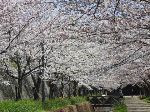 D513AB00-74C7-46CB-B462-46334458ABBE