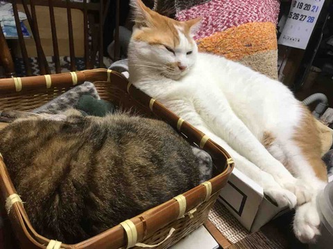 EA4610C0-E830-4E3C-A332-A1BC0395366B