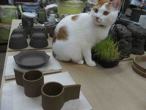 5BA3E46D-248F-4F17-B3D9-AA50AE0E023E