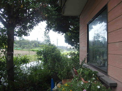 808F5AC6-3ABF-449D-A709-00053CFA612D