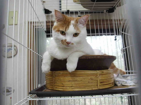 43B6E846-9195-452D-A8E5-82633E769879