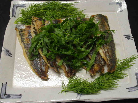 E66074A7-6346-49D3-B7E3-0BA6C4A1E822