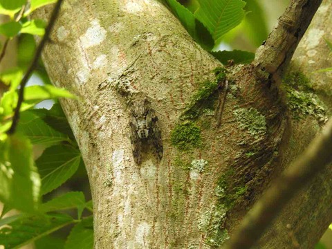 F22BD766-9AF8-4034-9D74-3BA04DB30C40