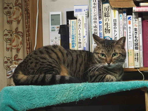 D2001304-3ABD-4FC7-9808-C17D9B40875E