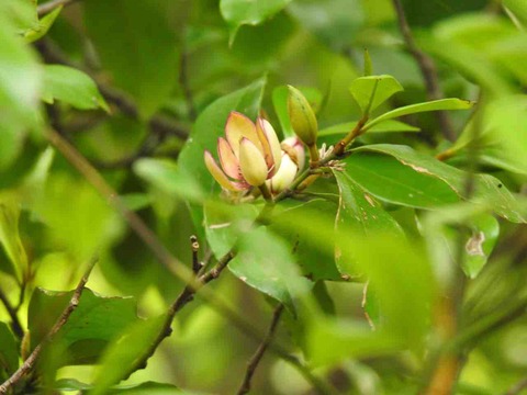 18FC8E83-1B08-4DD8-AD84-C4CE0FE89DB3