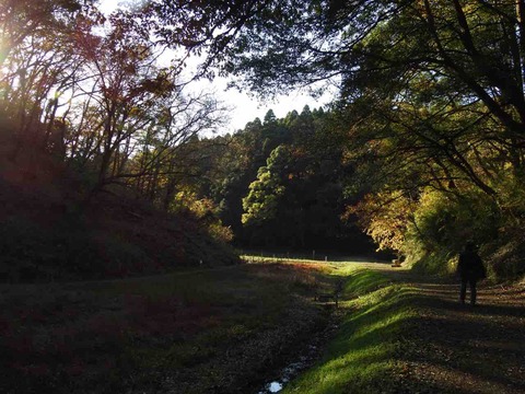 C690CAF7-5993-4DE4-8589-257029FE52CC