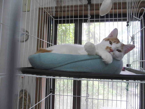 42FE7E0B-F76F-41FF-96F6-439D74C612E0