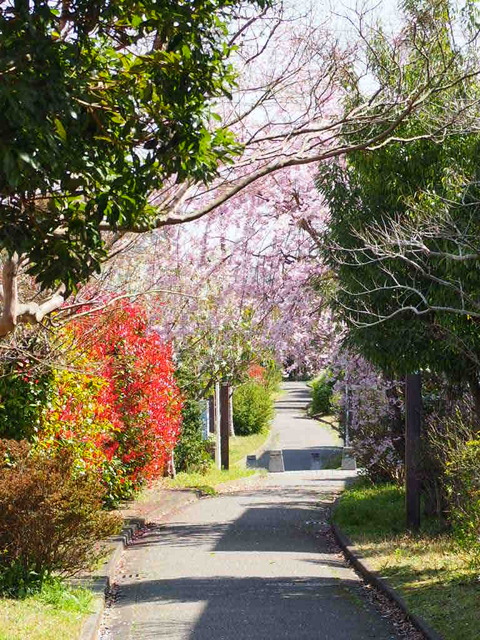 23F4723A-7B37-4137-A93F-3C86EAE1BE56