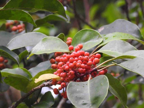 559BCB25-E233-4357-8A23-09C8E0875F30