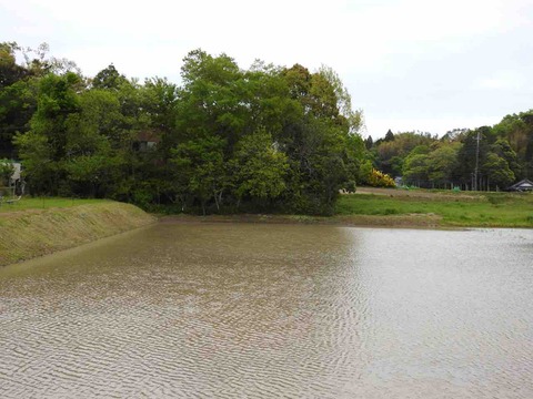 AF1A711F-A31E-470D-A68E-F7EA91EFAF62