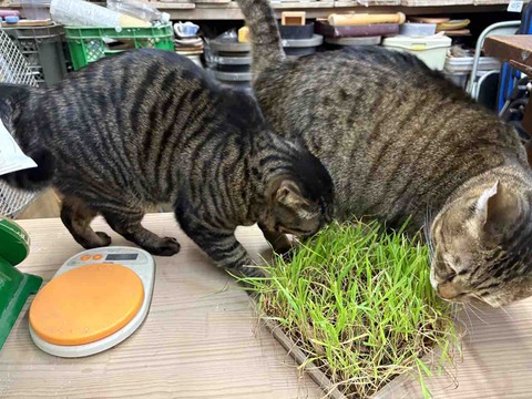 26BB8A85-C62F-43E1-9396-C666E0940D97