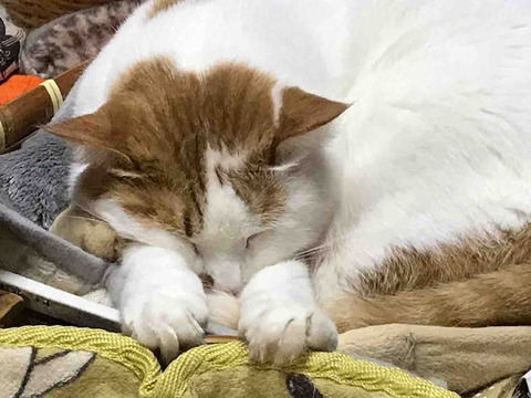 45CE7DAF-E5A5-4A84-BB68-298B47871E59