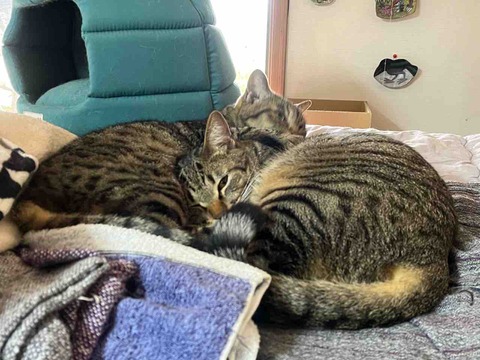 EA72960B-38ED-449D-A585-6C9D01148F2E