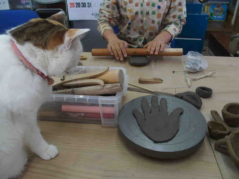 8CBFE90D-4DC6-49EC-9355-429BA094BA63