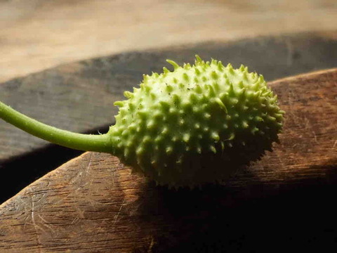 7B018907-40F1-402F-91FF-07AA56B8CAA6