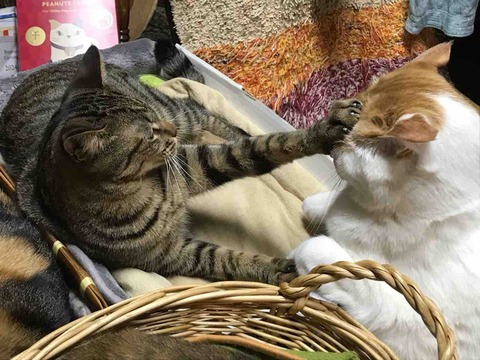 1A709262-5652-496C-AB3A-E47857A0A793