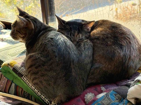 38BFBB86-E095-4050-B7D7-ACDF3C5109B8