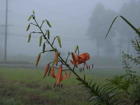 5959F0B5-1664-4D86-9A03-01E5B8D54735