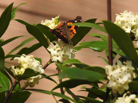 017F2368-7E81-4261-80C8-5F590AD12537