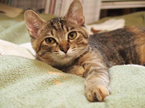 6F1EBB16-A16E-44C4-B3D2-7C1B2CAC2B46