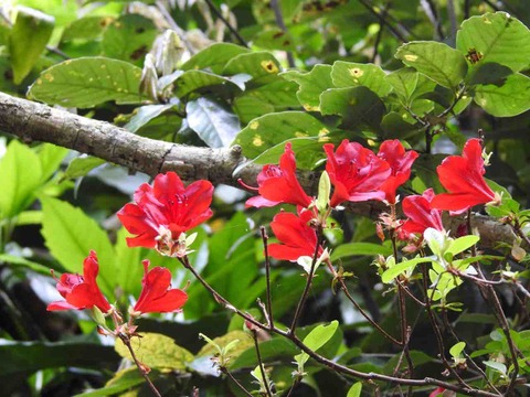 737EA19E-E792-4845-A8FD-CD624761C2C0