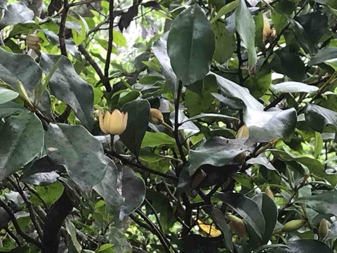 C0CD9C4E-191F-4094-B624-EDFCA8EE9B7F