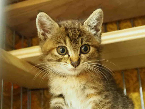 8B4B7744-BE7A-42D9-8645-9BC3BBA28BE0