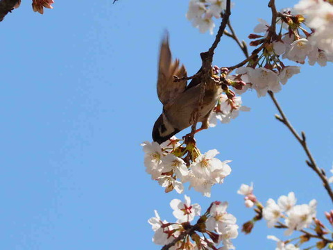 EA01F5DE-2DF9-4EE1-A5EB-AD99ADA2D317