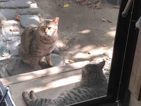 F6607128-672C-4E0B-B00E-2563F9AC9E0E