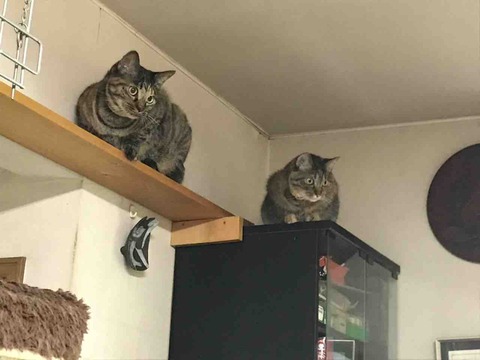 96C84137-5785-41E1-AB69-4FE7A8ACDB09