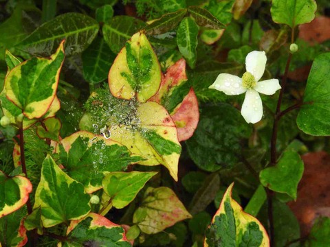 4116CF36-4B3F-4386-9AFE-DFF4CABF7B7A