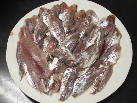 FD38CEDA-93A2-417D-A302-350A40DCF4C4