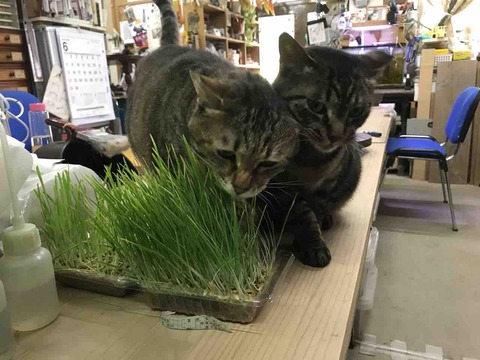 06385623-9CBE-4558-9F1F-21A4C8871042