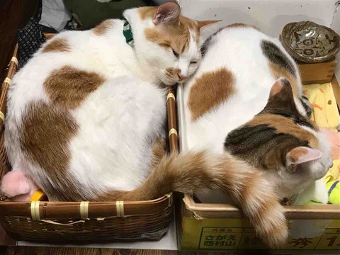 90875FAE-7F6C-4BBE-8E62-7A24B6AADC46