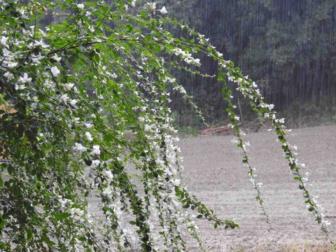 37AF46A8-D0D2-476A-BFFC-8F477DCC035F