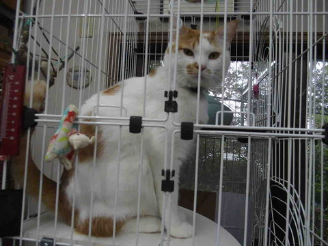 A430A69D-DE1C-48CA-8F44-BB3A5E7AF029