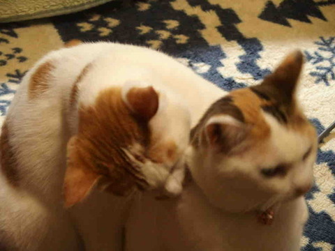 2309137A-F2CE-4469-B2FC-664F1FF7A83F