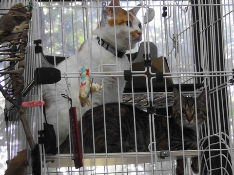 92F00327-DC31-4D13-B20B-A47528F56617