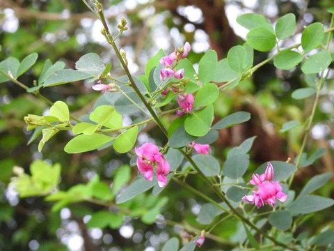 828B94AE-3013-42BB-8684-CD86061B08FF