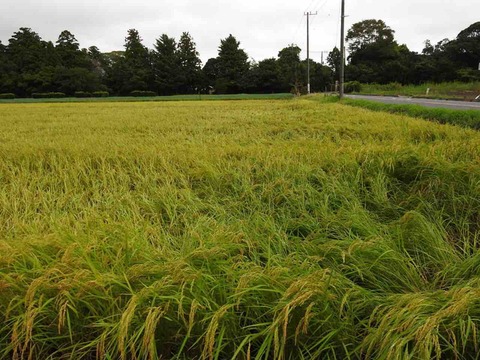 6A8DCFC5-FC50-4CA7-A24A-C9F87E9FB1C9