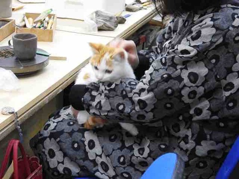 CFE83F6C-FAB7-4E49-8387-3FA20B0A2F5B