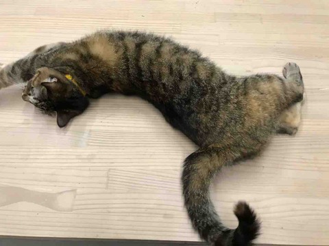 E8A185AB-416C-4F3B-9396-21A712EEF78D