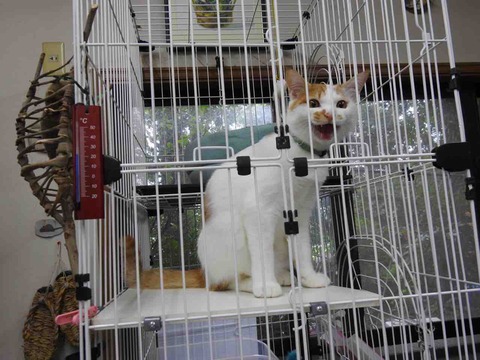 B69E6178-F296-4547-8683-FD2A6F665877