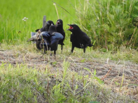 B9E6116A-A075-480D-9183-E940DBC80C7D