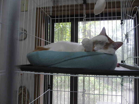 4FD69D20-3628-435E-99D8-D5D9A2A57850