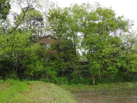 FCFBF2BD-0154-45FC-8684-DFEE5C0B23ED