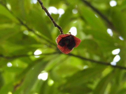 23EDA8CF-D9B8-4E2B-98B8-17C2B5A3B0AF