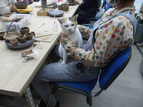 AF74BE53-5E93-42BD-95B6-8D3E224893BE